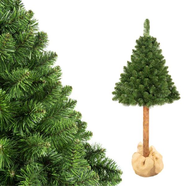 Sosna Naturalna Premium na pniu