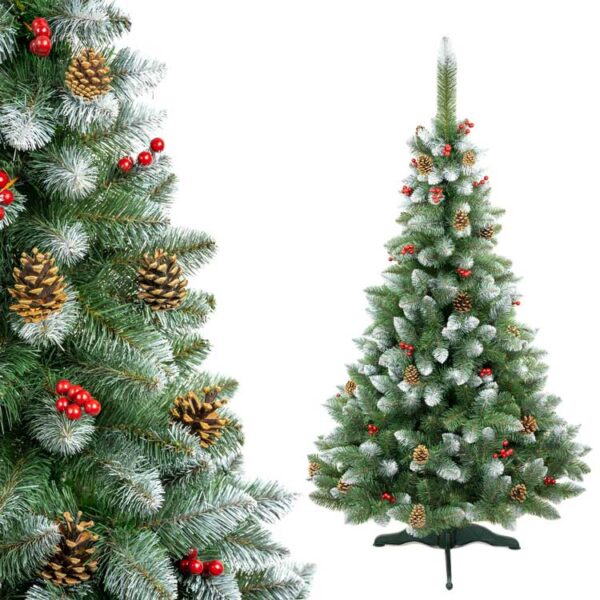 Sosna Premium Szyszka + Jarzębina