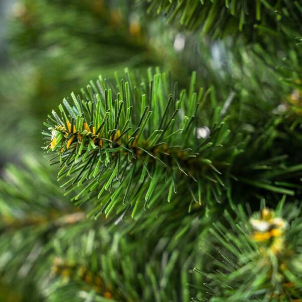 Alternative view of Sosna Naturalna Premium na pniu