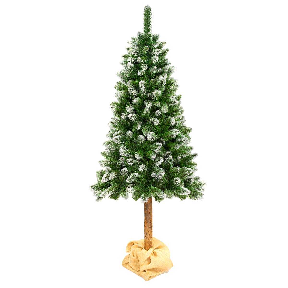 Sosna Diamentowa Premium na pniu - obrazek 4