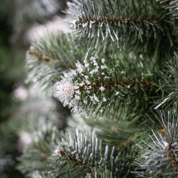 Alternative view of Sosna Diamentowa Premium na pniu