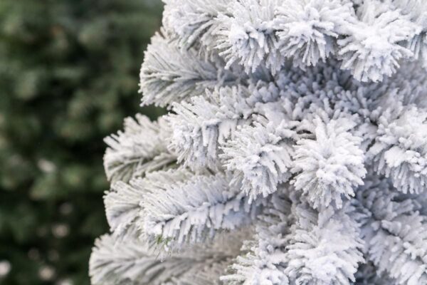 Choinka ośnieżona - sztuczna - cena - producent