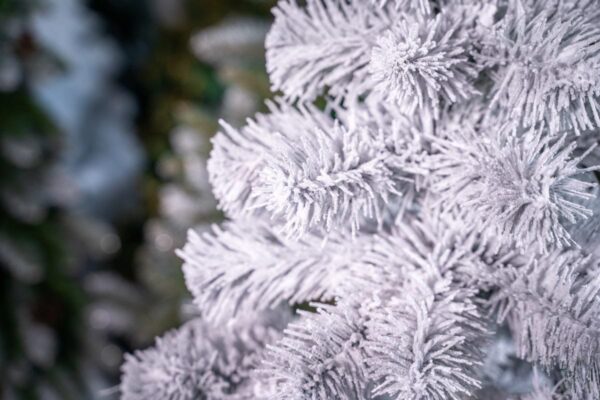 Choinka ośnieżona - sztuczna - cena - producent