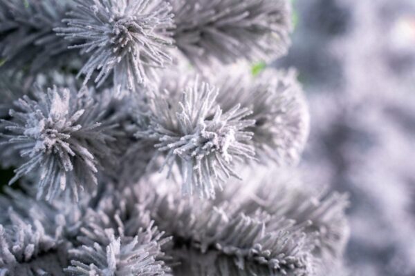 Choinka ośnieżona - sztuczna - cena - producent