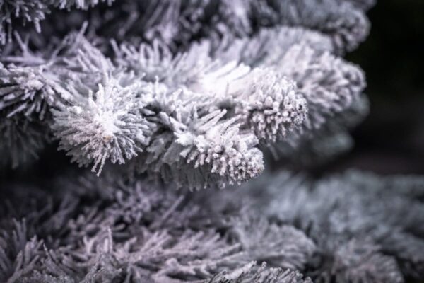 Choinka ośnieżona - sztuczna - cena - producent