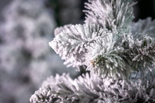 Choinka ośnieżona - sztuczna - cena - producent