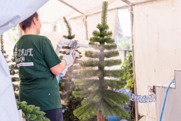 Choinka ośnieżona - sztuczna - cena - producent