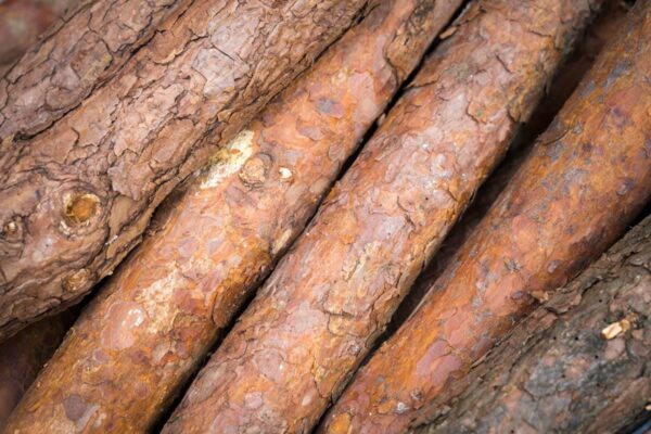 Choinki sztuczne na pniu