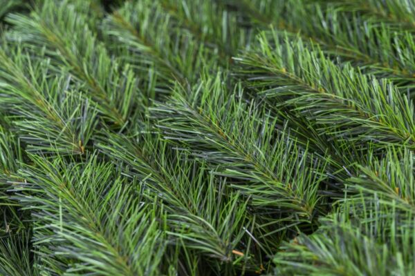 Producent choinek sztucznych