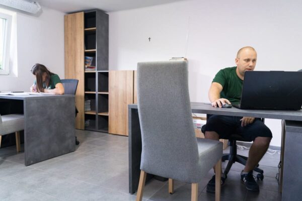 Producent choinek sztucznych