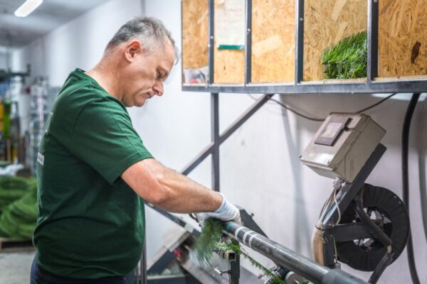 Producent choinek sztucznych