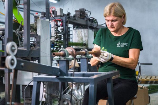 Producent choinek sztucznych