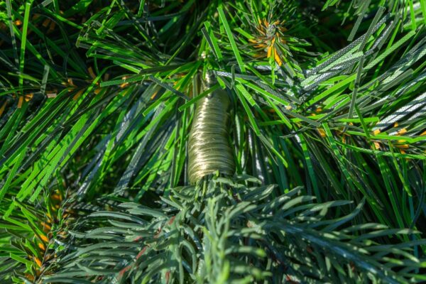 Przykład choinek sztucznych