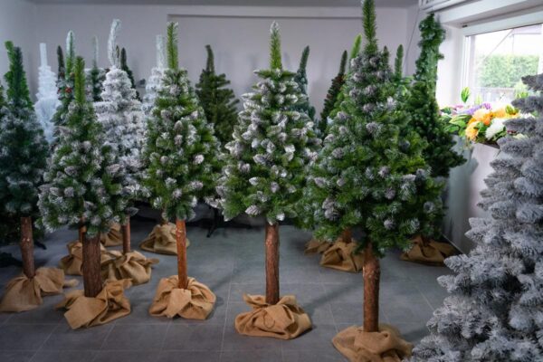 sosna diamentowa - choinka sztuczna