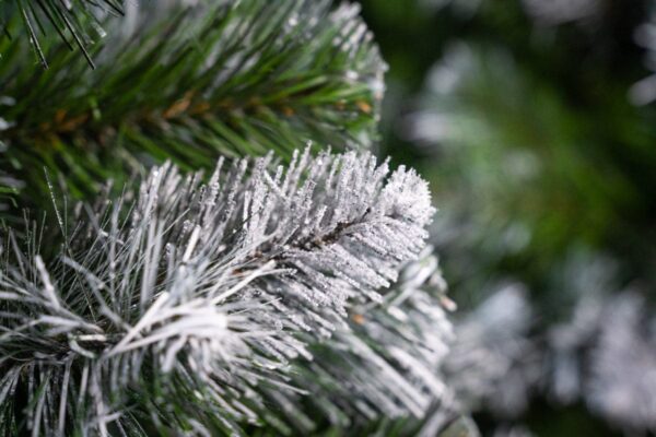 sosna diamentowa - choinka sztuczna