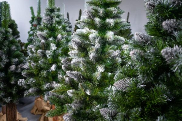 sosna diamentowa - choinka sztuczna