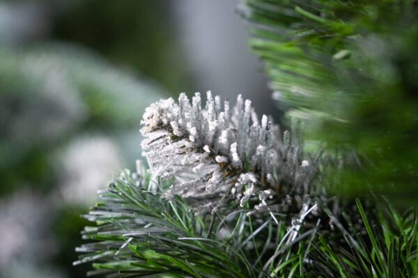 sosna diamentowa - choinka sztuczna