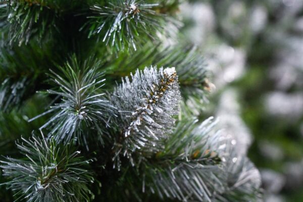 sosna diamentowa - choinka sztuczna