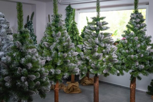 sosna diamentowa - choinka sztuczna