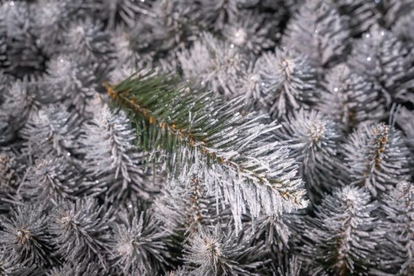 sosna diamentowa - choinka sztuczna