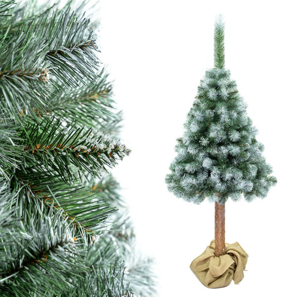 Sosna diamentowa 3D na pniu