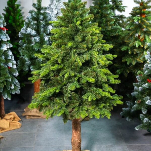 Alternative view of SOSNA ALPEJSKA PE NA PNIU