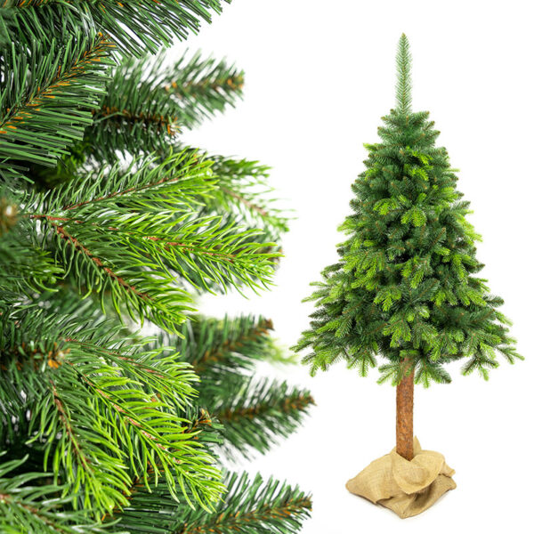 SOSNA ALPEJSKA PE NA PNIU