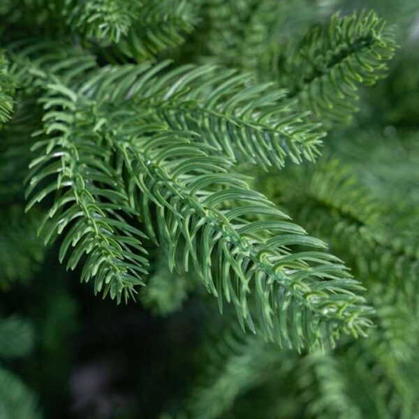 Choinki 100 % PE / FULL PE