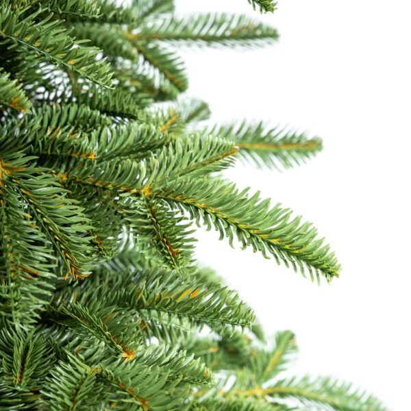 Alternative view of Jodła Normand