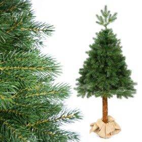 Crystal Fir