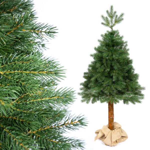 Crystal Fir