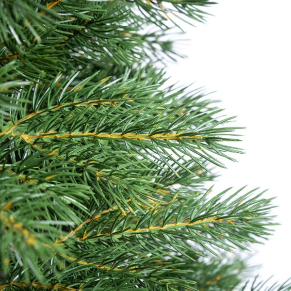 Alternative view of Crystal Fir