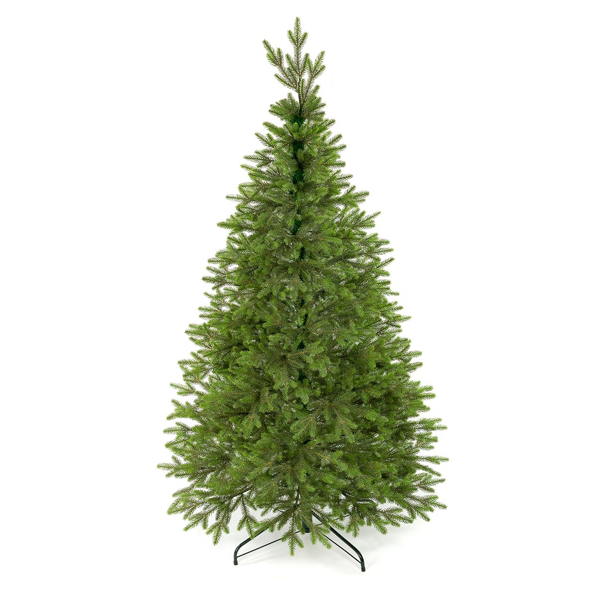 Świerk Królewski 100 % PE - obrazek 3