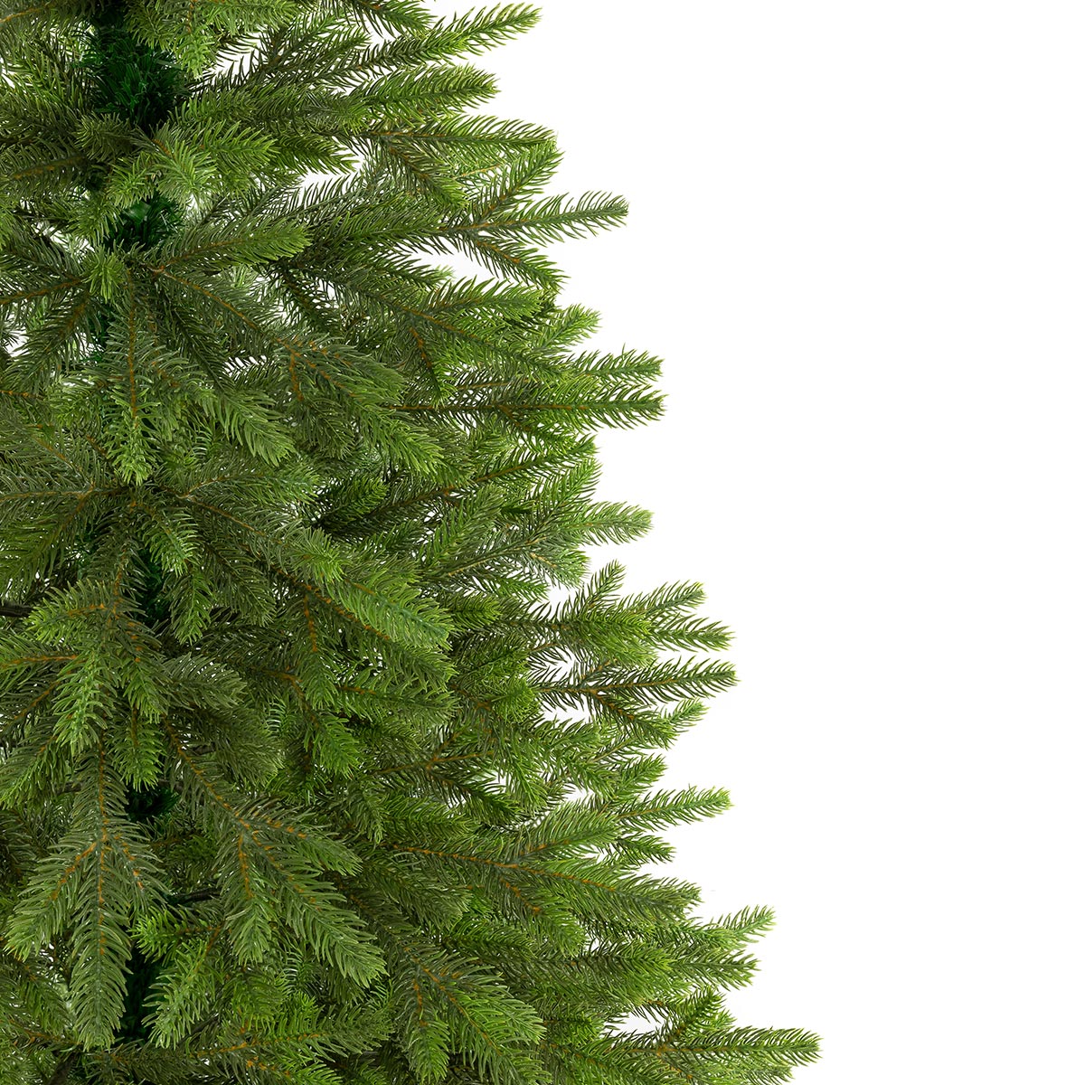 Świerk Królewski 100 % PE - obrazek 4