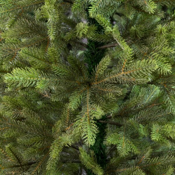 Alternative view of Świerk Królewski 100 % PE