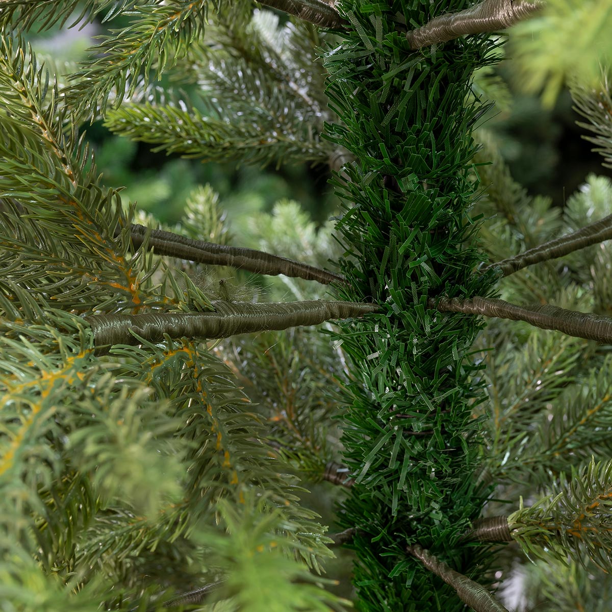 Świerk Królewski 100 % PE - obrazek 6