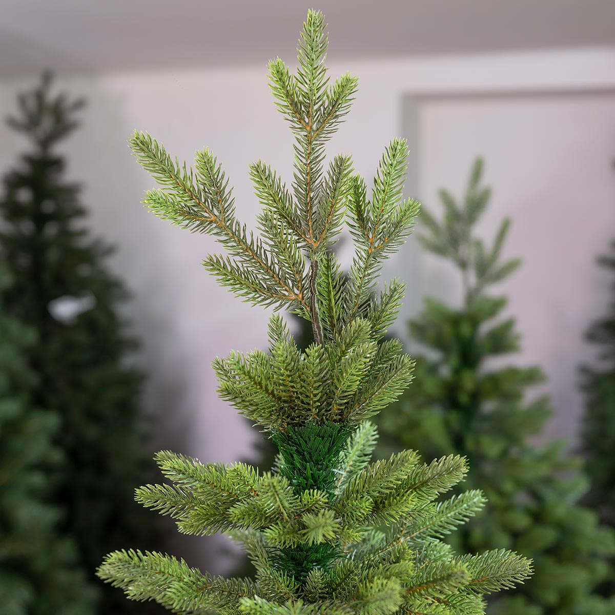 Świerk Królewski 100 % PE - obrazek 7