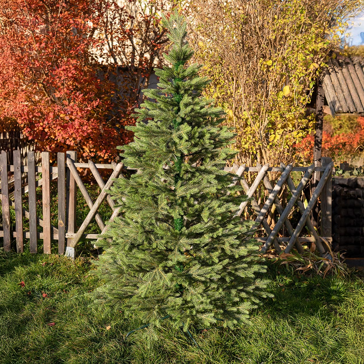 Świerk Królewski 100 % PE - obrazek 8